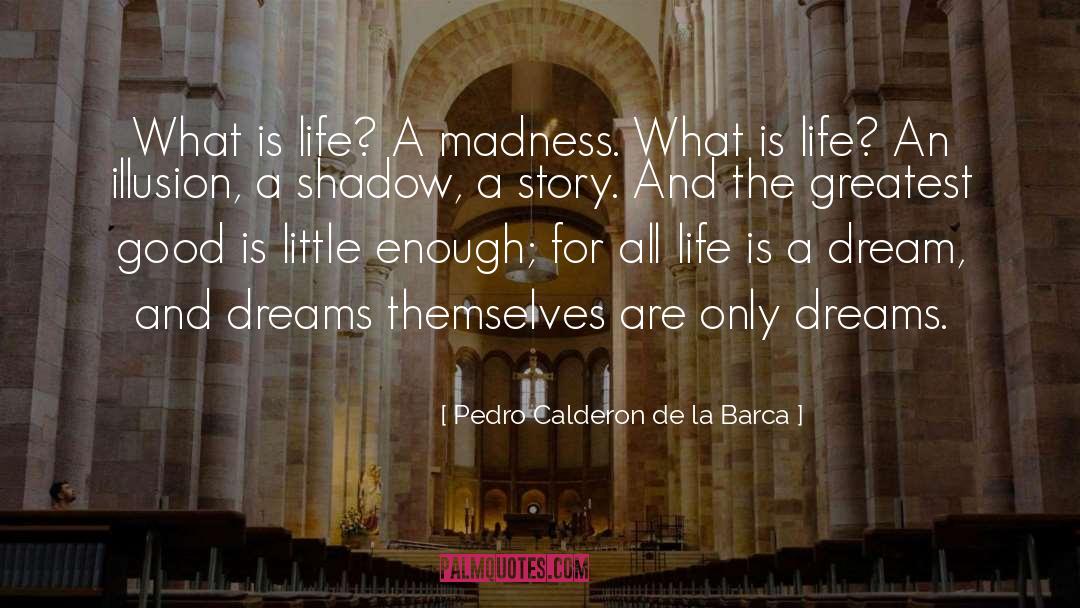 Life Is A Dream quotes by Pedro Calderon De La Barca