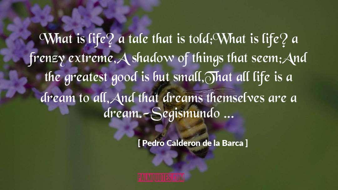 Life Is A Dream quotes by Pedro Calderon De La Barca