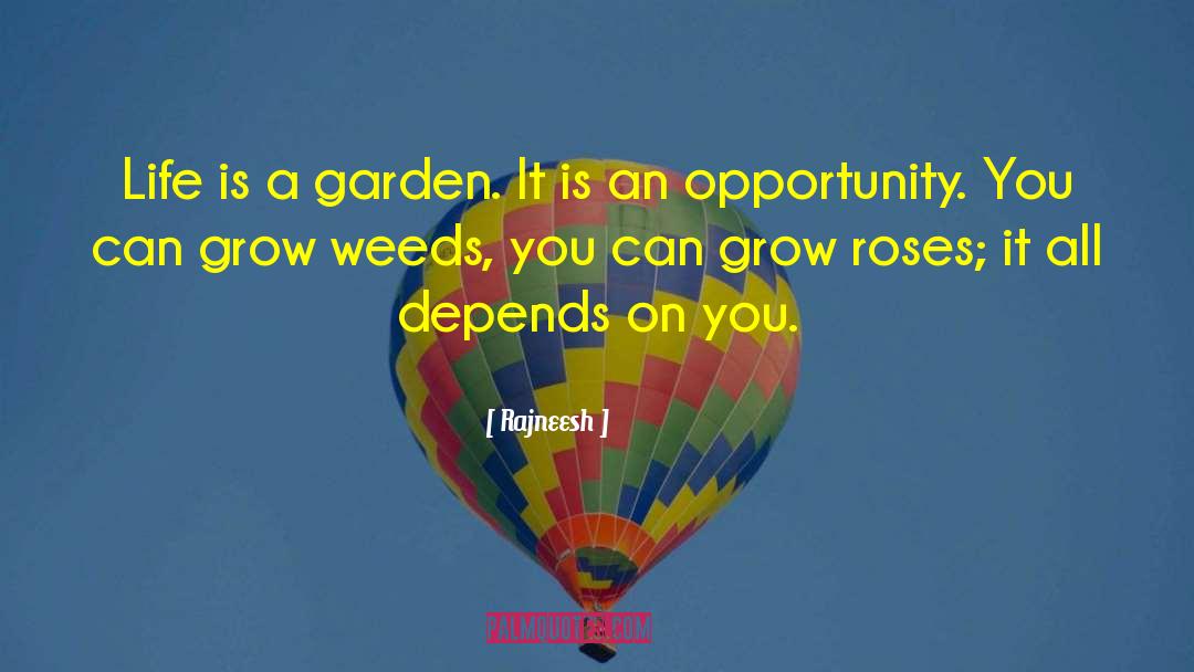 Life Is A Garden quotes by Rajneesh