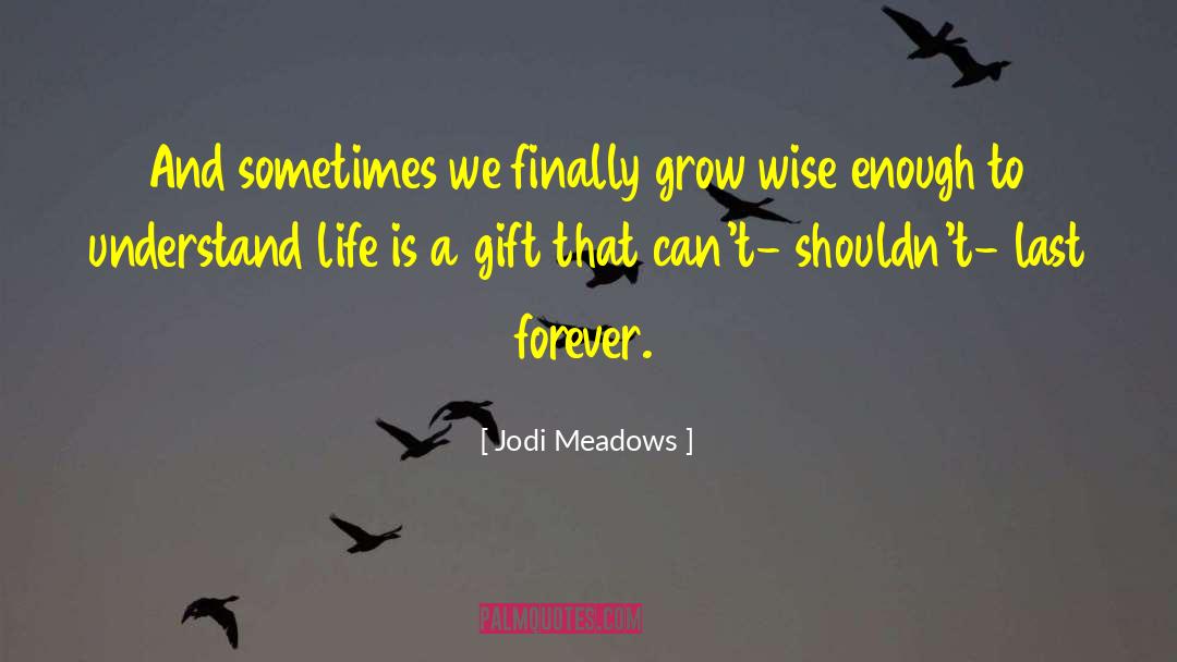 Life Is A Gift quotes by Jodi Meadows