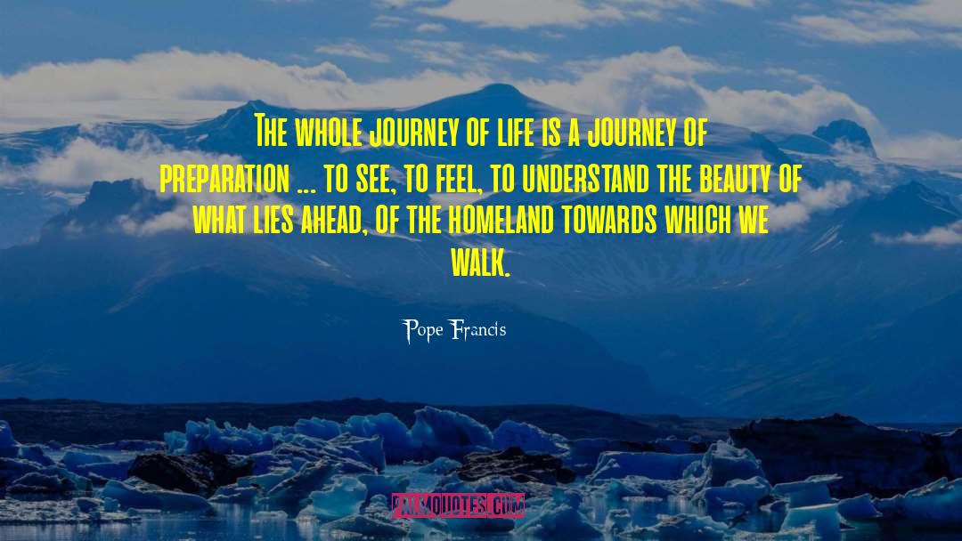Life Is A Journey Not A Competition quotes by Pope Francis