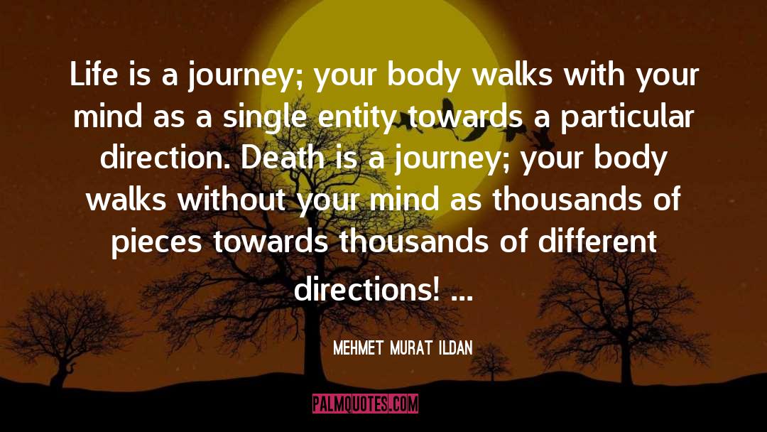 Life Is A Journey quotes by Mehmet Murat Ildan