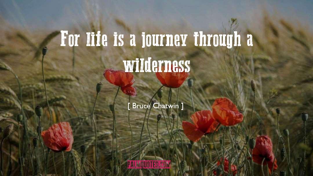 Life Is A Journey quotes by Bruce Chatwin
