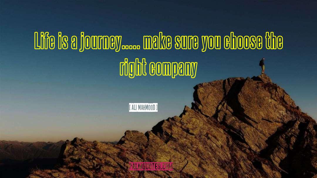 Life Is A Journey quotes by Ali Mahmood