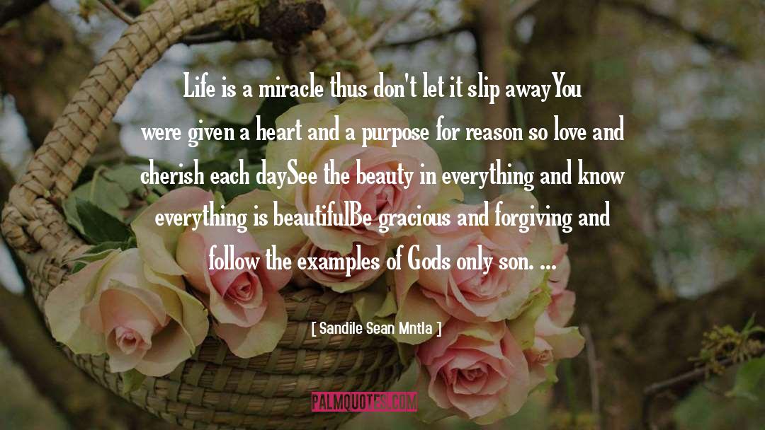 Life Is A Miracle quotes by Sandile Sean Mntla
