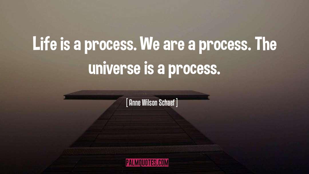 Life Is A Process quotes by Anne Wilson Schaef