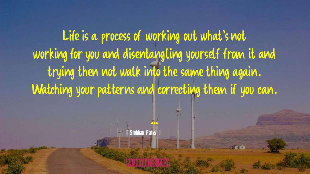 Life Is A Process quotes by Siobhan Fahey