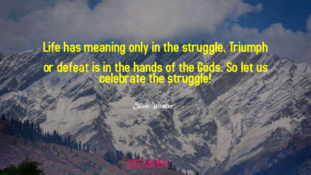 Life Is A Struggle quotes by Stevie Wonder