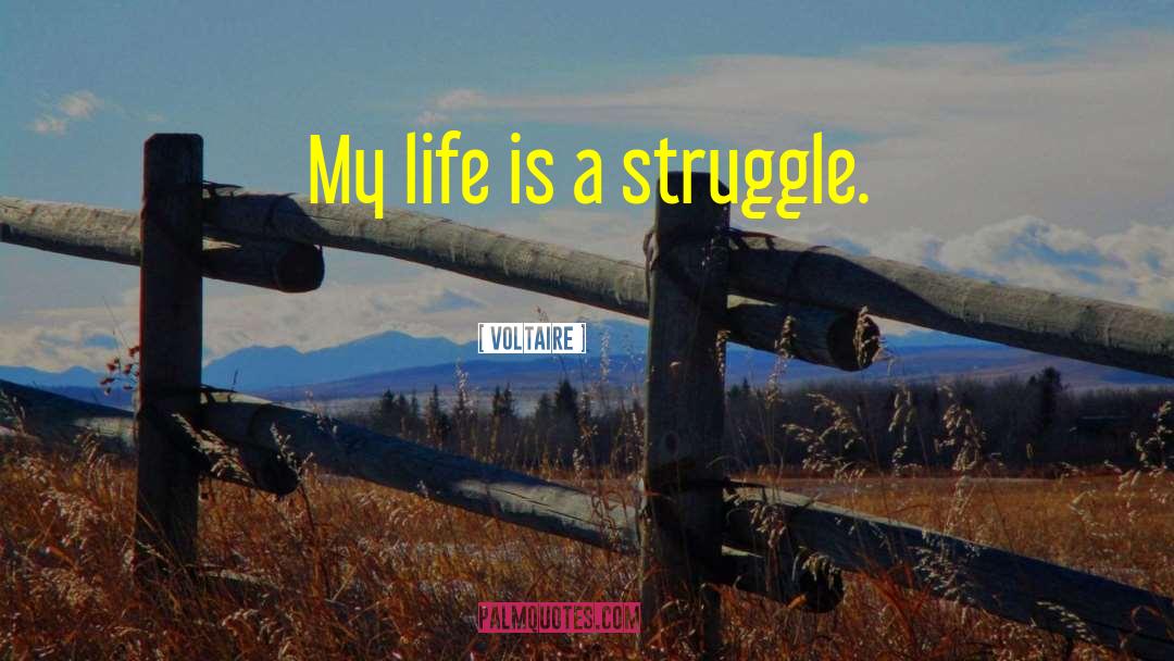 Life Is A Struggle quotes by Voltaire