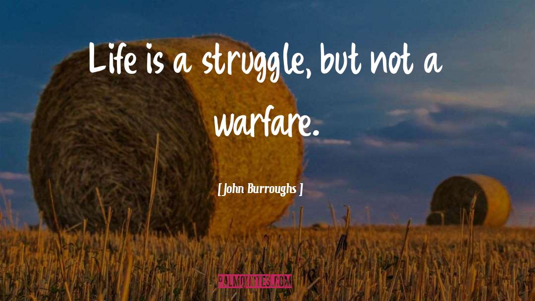 Life Is A Struggle quotes by John Burroughs