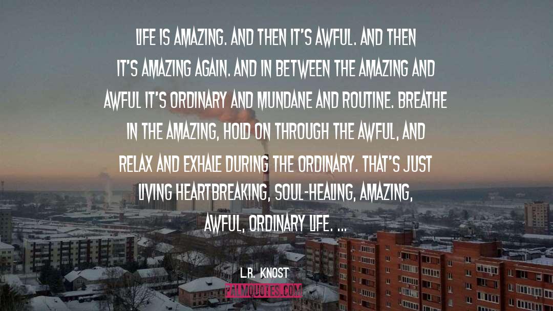 Life Is Amazing quotes by L.R. Knost