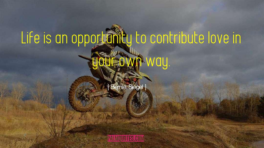 Life Is An Opportunity quotes by Bernie Siegel