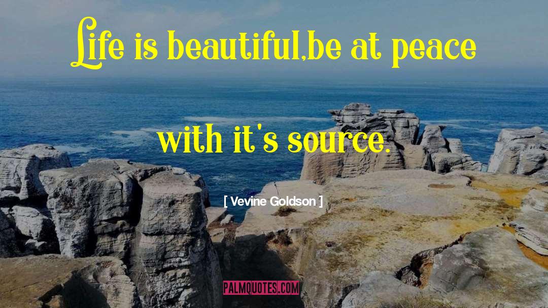 Life Is Beautiful quotes by Vevine Goldson