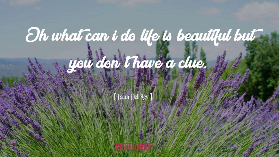 Life Is Beautiful quotes by Lana Del Rey