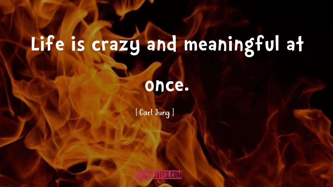 Life Is Crazy quotes by Carl Jung