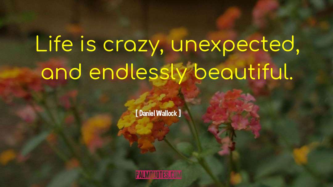 Life Is Crazy quotes by Daniel Wallock