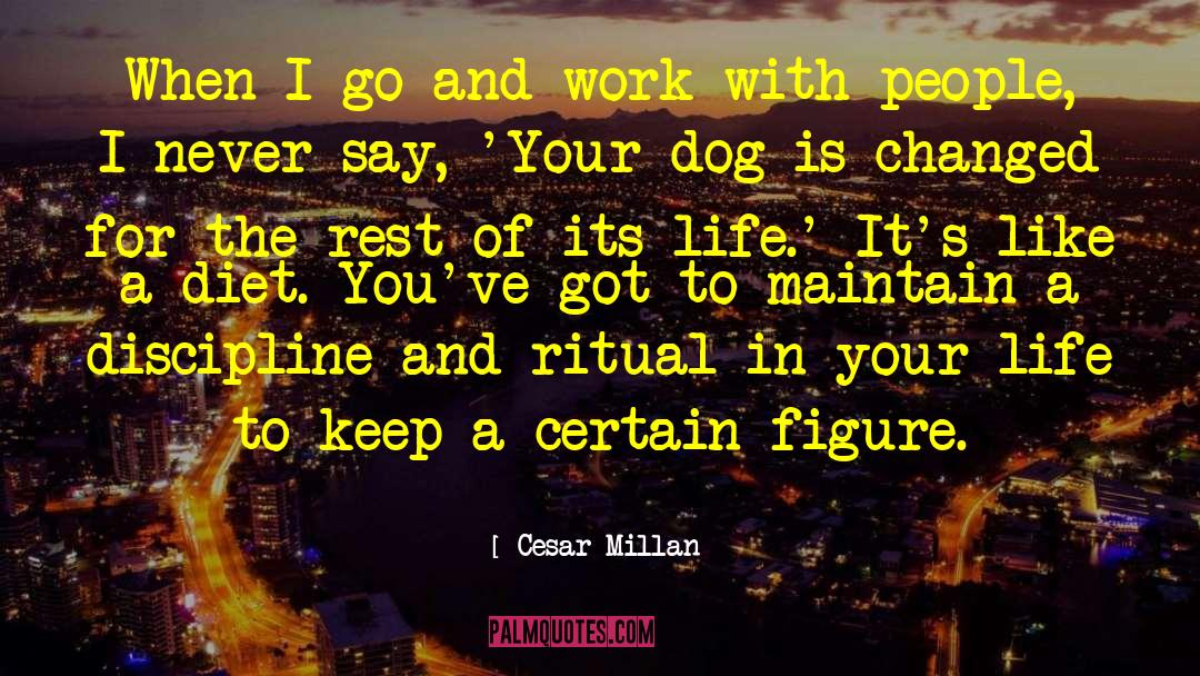 Life Is Fair quotes by Cesar Millan