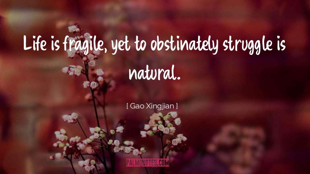 Life Is Fragile quotes by Gao Xingjian