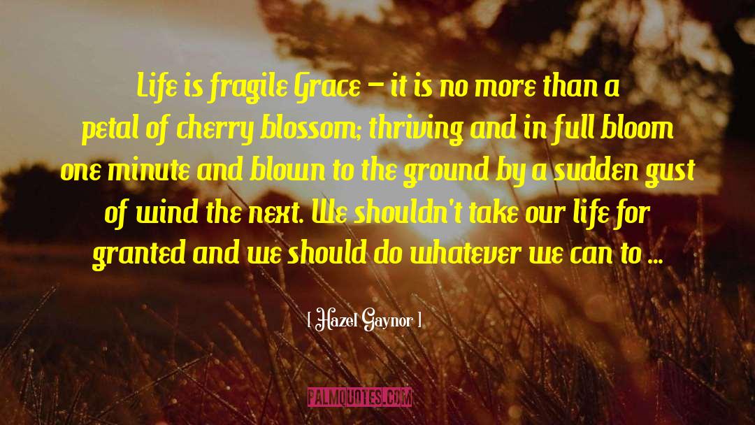 Life Is Fragile quotes by Hazel Gaynor