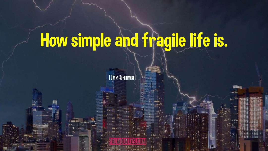 Life Is Fragile quotes by Danny Scheinmann