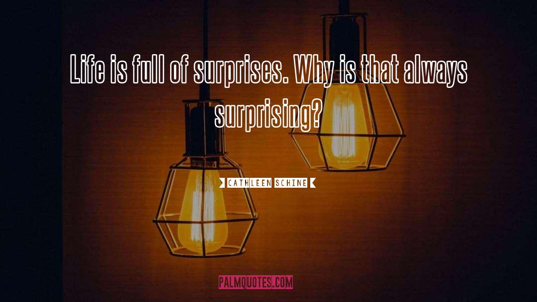 Life Is Full Of Surprises quotes by Cathleen Schine