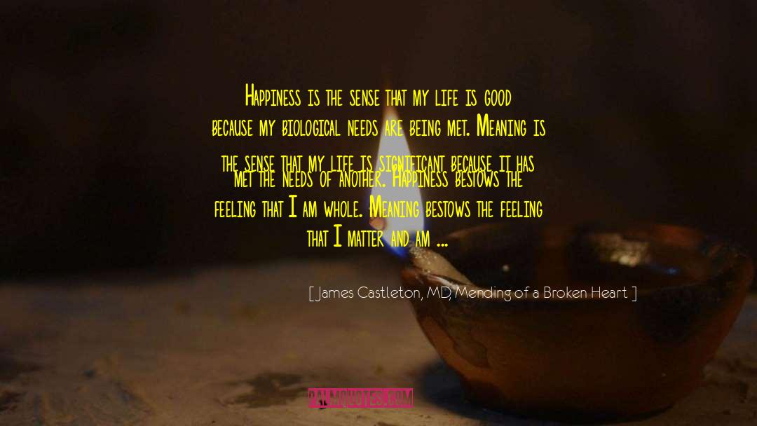 Life Is Good quotes by James Castleton, MD, Mending Of A Broken Heart