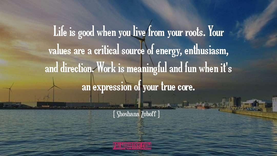 Life Is Good quotes by Shoshana Zuboff