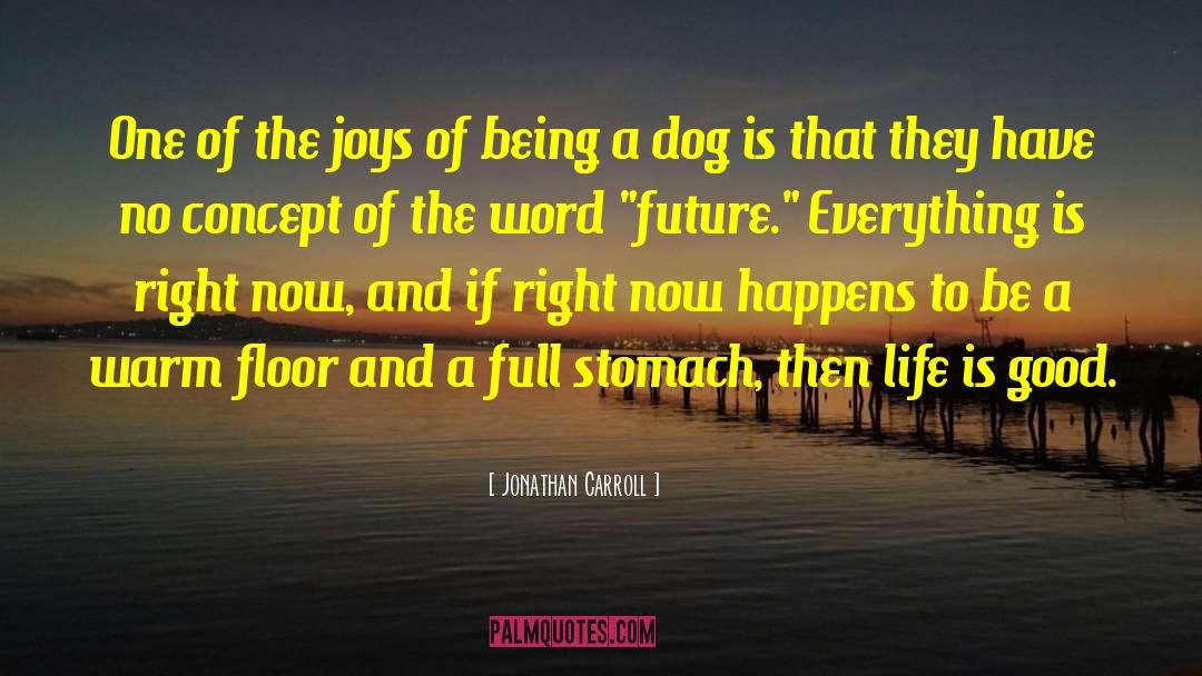 Life Is Good quotes by Jonathan Carroll