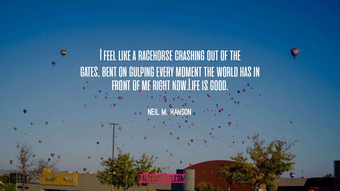 Life Is Good quotes by Neil M. Hanson