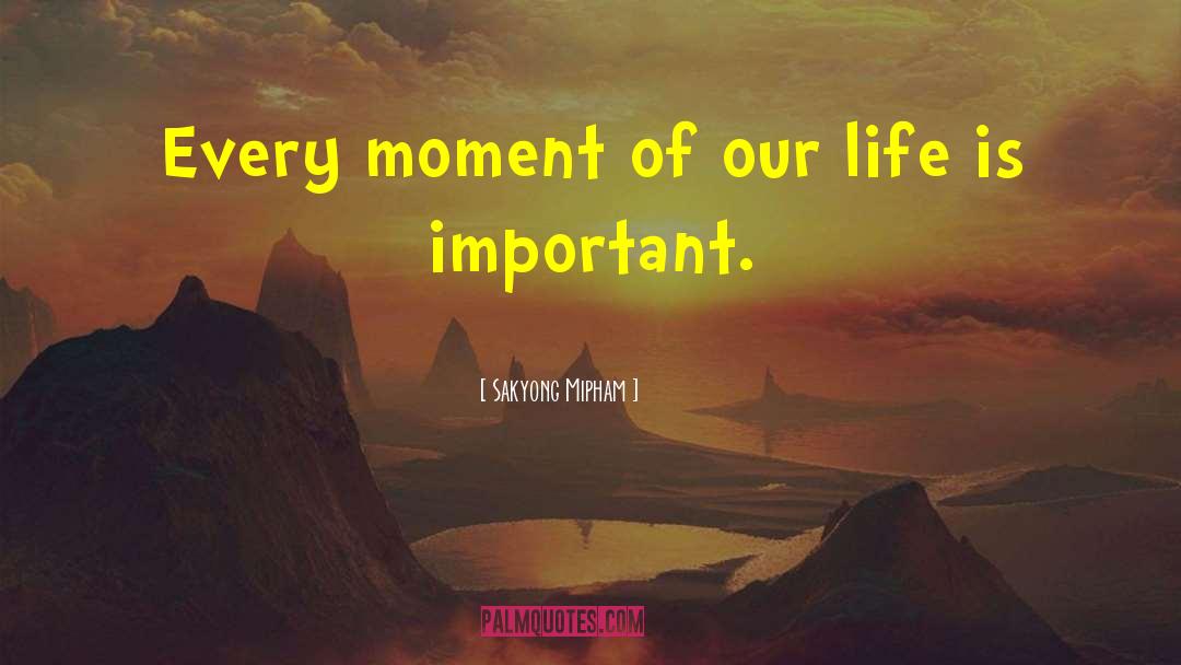 Life Is Important quotes by Sakyong Mipham