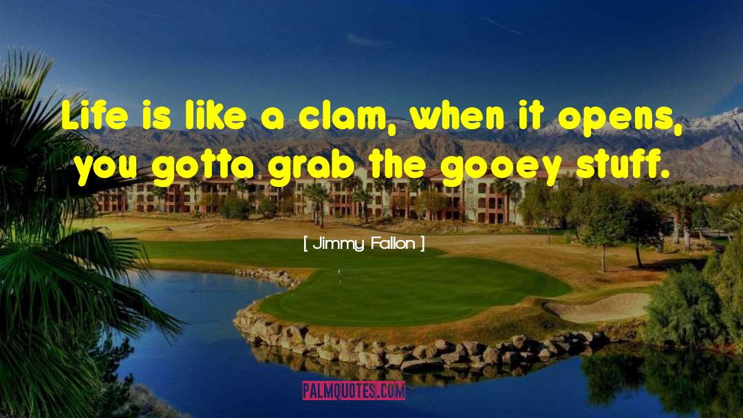 Life Is Like quotes by Jimmy Fallon