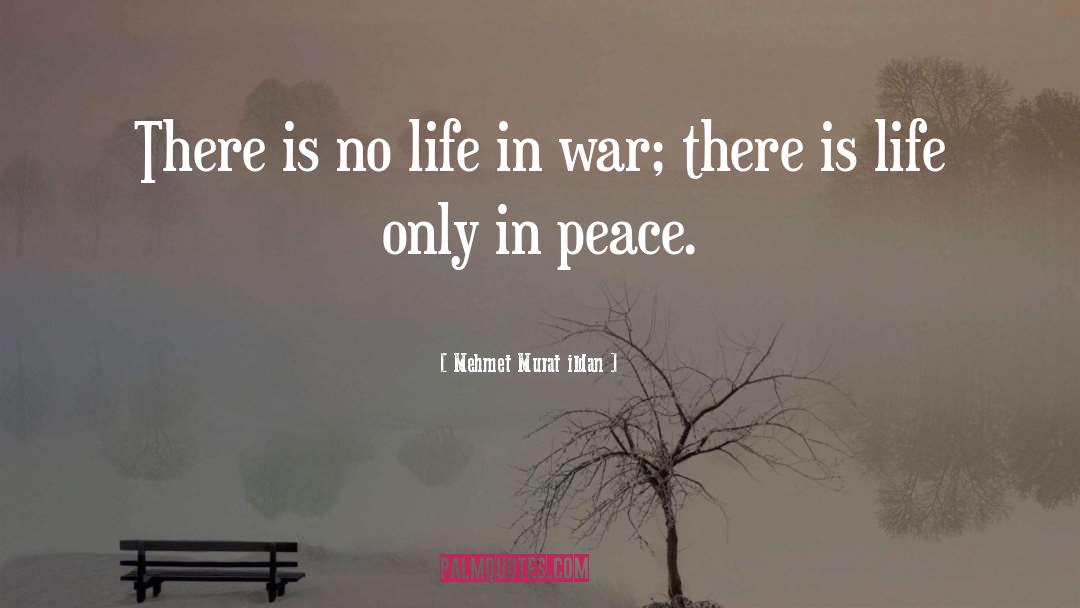 Life Is Long quotes by Mehmet Murat Ildan