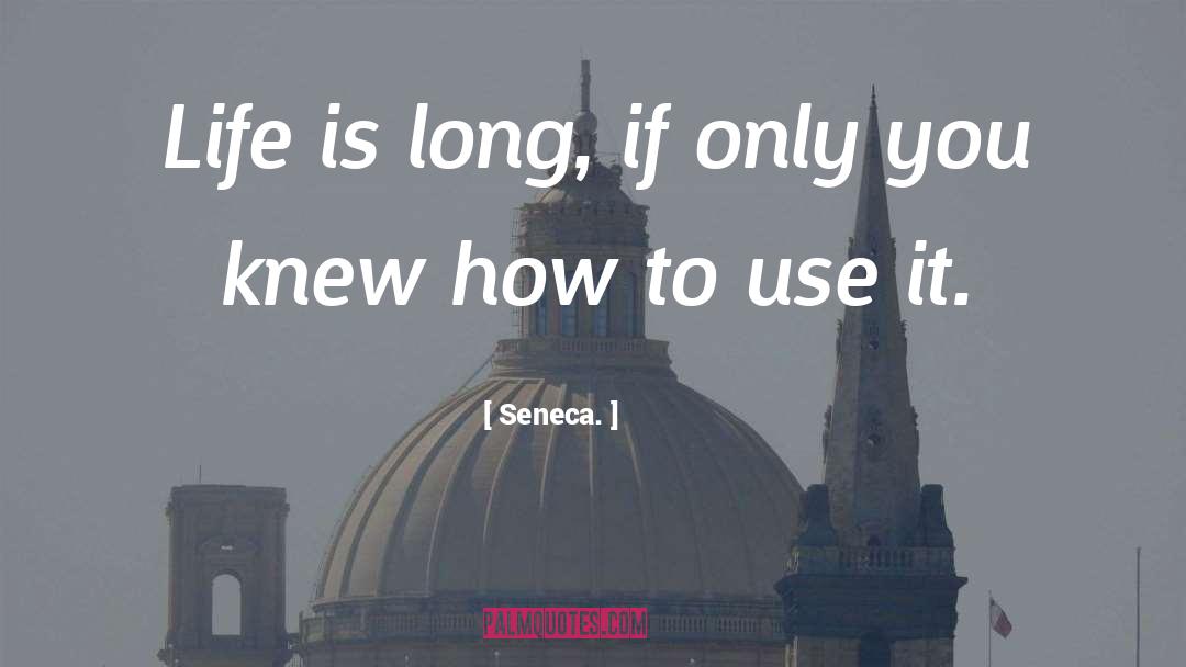 Life Is Long quotes by Seneca.