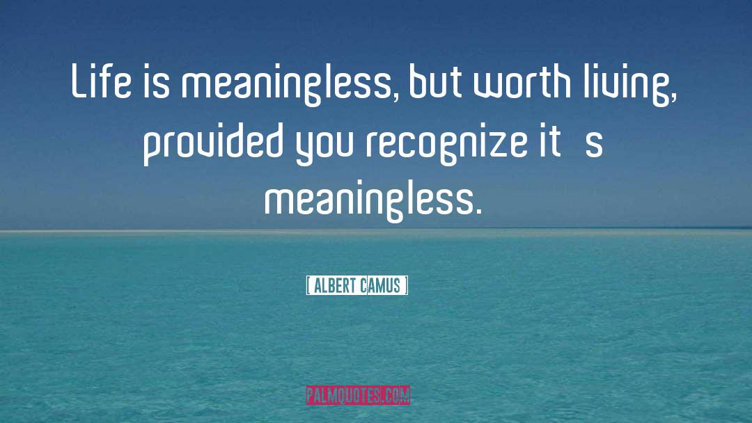 Life Is Meaningless quotes by Albert Camus