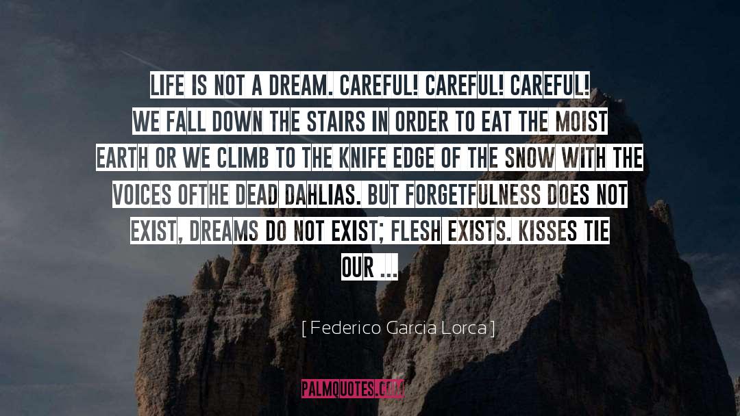 Life Is Not A Dream quotes by Federico Garcia Lorca