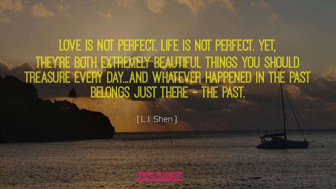 Life Is Not Perfect quotes by L.J. Shen