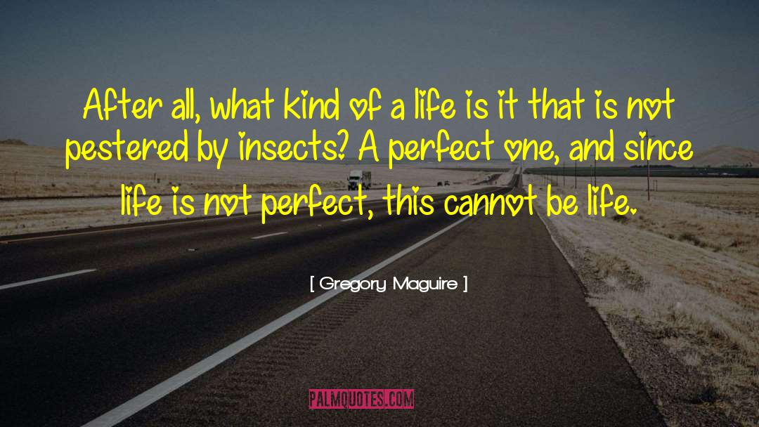 Life Is Not Perfect quotes by Gregory Maguire