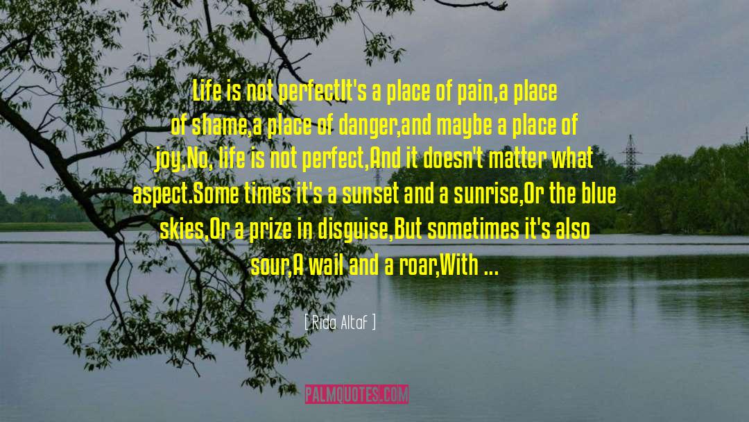 Life Is Not Perfect quotes by Rida Altaf