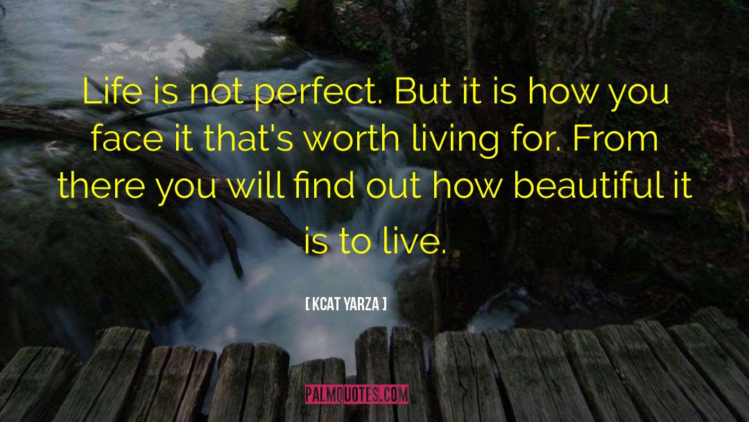 Life Is Not Perfect quotes by Kcat Yarza