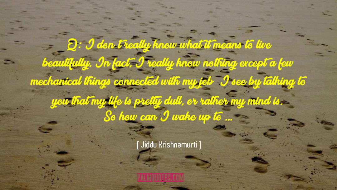 Life Is Nothing But A Dream quotes by Jiddu Krishnamurti