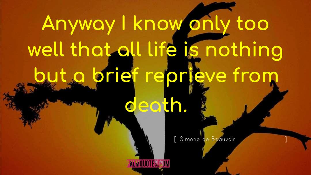Life Is Nothing quotes by Simone De Beauvoir