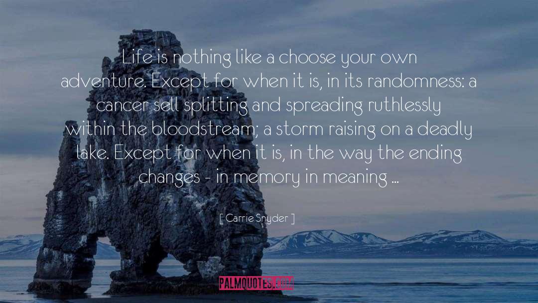 Life Is Nothing quotes by Carrie Snyder
