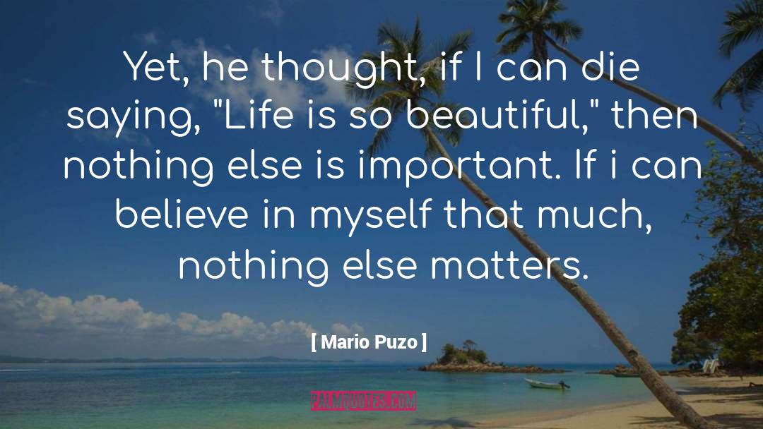 Life Is So Beautiful quotes by Mario Puzo