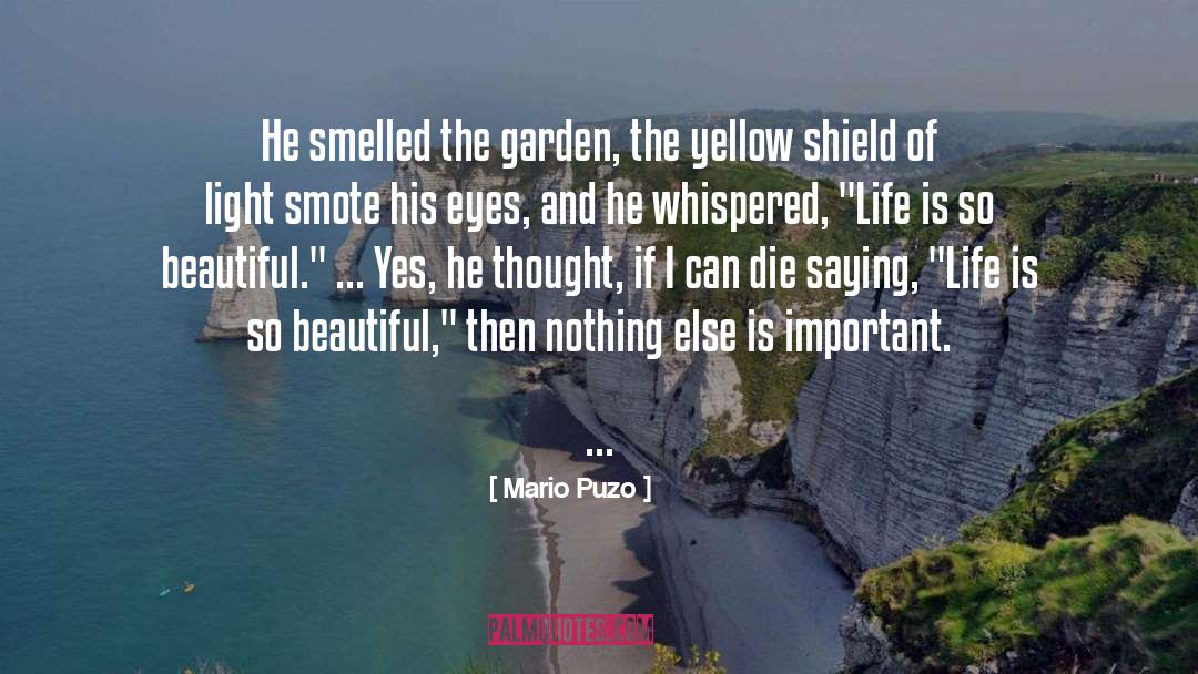 Life Is So Beautiful quotes by Mario Puzo