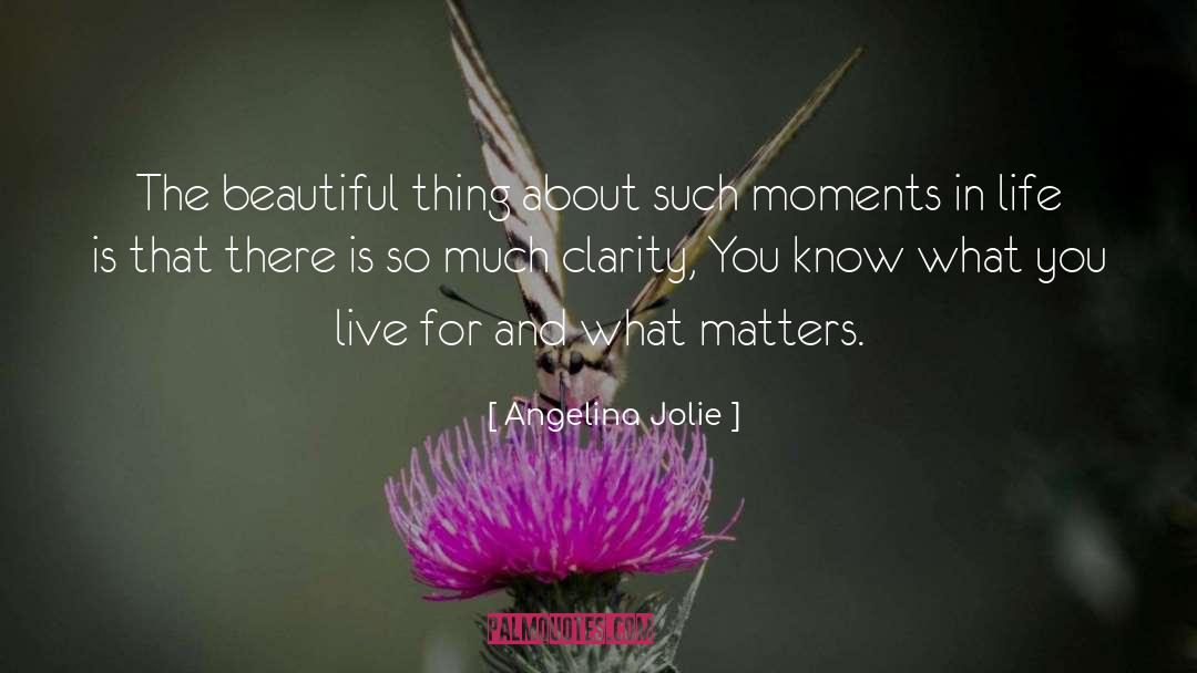 Life Is So Fleeting quotes by Angelina Jolie