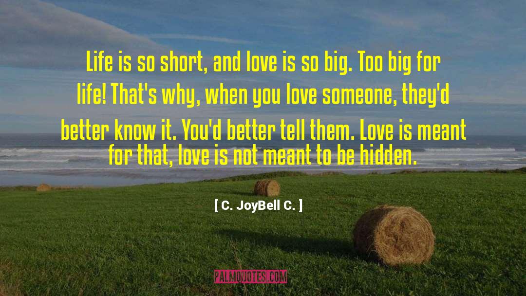 Life Is So Short quotes by C. JoyBell C.