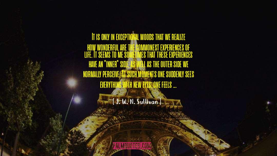 Life Is Transient quotes by J. W. N. Sullivan