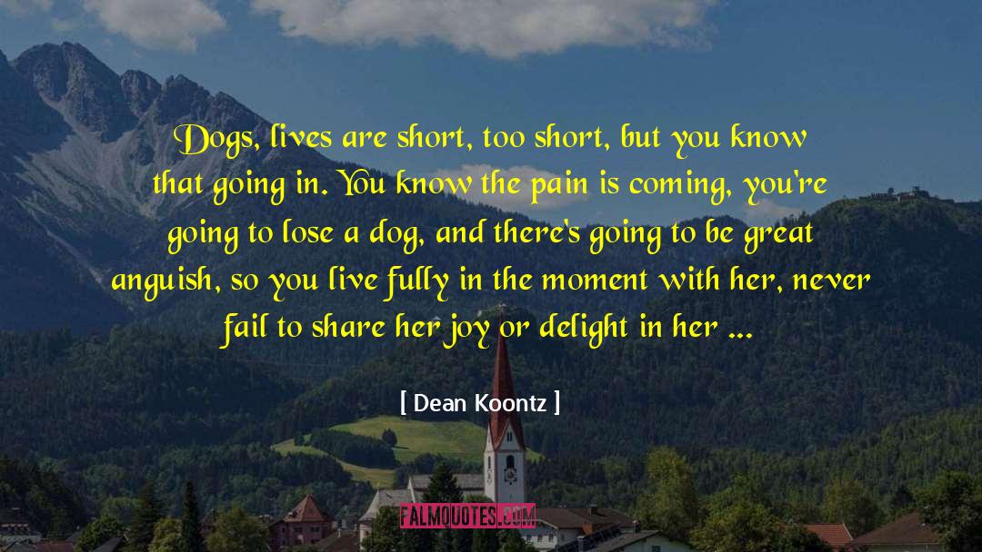 Life Is Way Too Short quotes by Dean Koontz