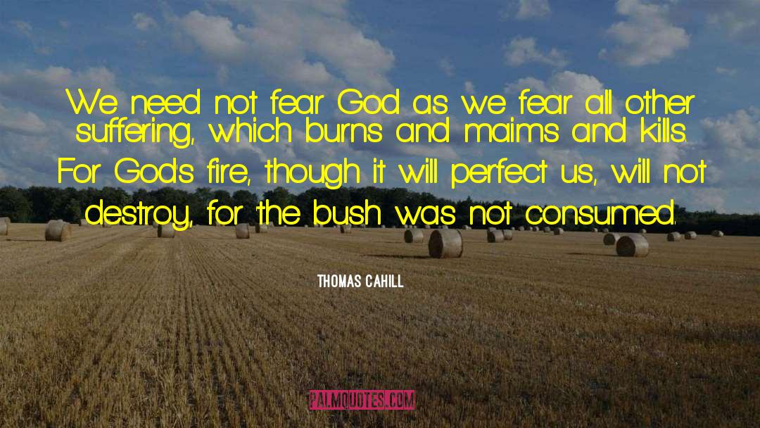 Life Kills Us quotes by Thomas Cahill