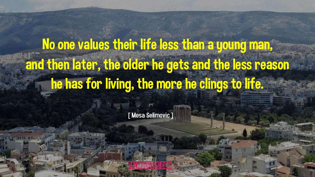 Life Less quotes by Mesa Selimovic